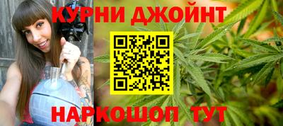 молекула духа Будённовск