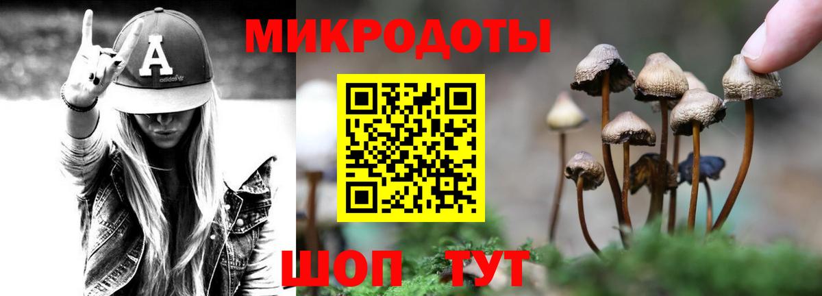 Псилоцибиновые грибы Magic Shrooms Черногорск